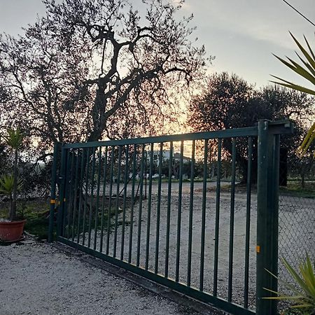 פיסטיצ'י La Villa Di Campagna מראה חיצוני תמונה