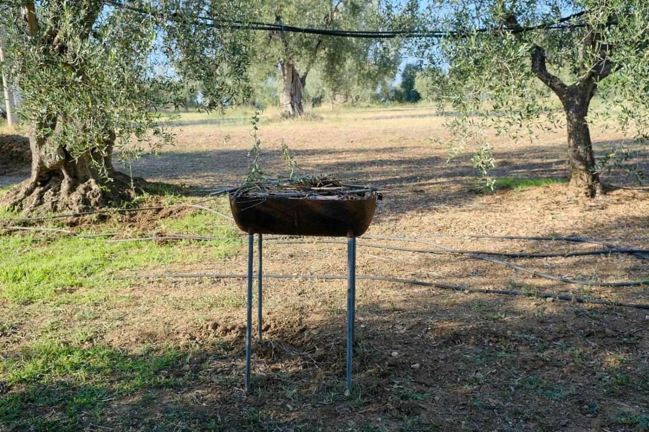 פיסטיצ'י La Villa Di Campagna מראה חיצוני תמונה